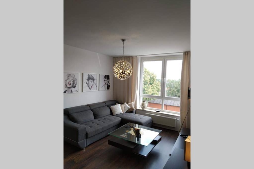 Sunny Penthouse With Roof Gardens Overlooking The Warsaw Palace Of Culture Pruszkow Ngoại thất bức ảnh